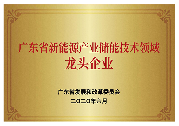 廣東省新能源產業(yè)儲能技術領域龍頭企業(yè)
